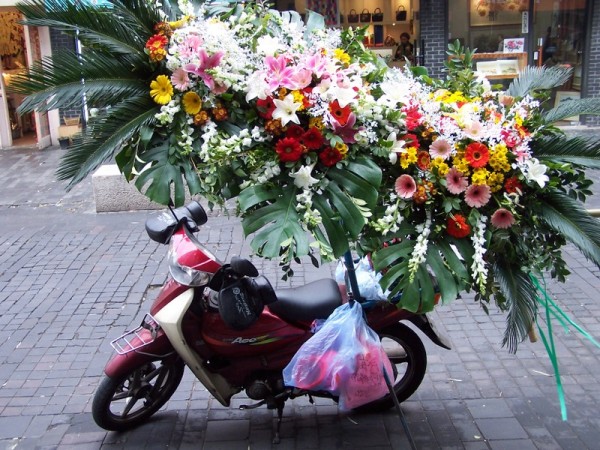 flower jungle scooter